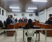 4ª Reunião Ordinária da 2ª Sessão Legislativa da 16ª Legislatura