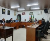 12ª Reunião Ordinária da 2ª Sessão Legislativa da 16ª Legislatura